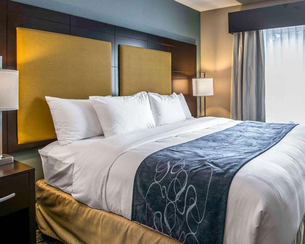 Comfort Suites Fort Lauderdale Airport South & Cruise Port Dania Beach Habitación foto